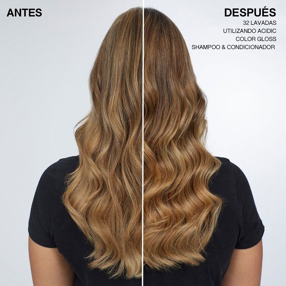 Acidic Color Gloss Leave In