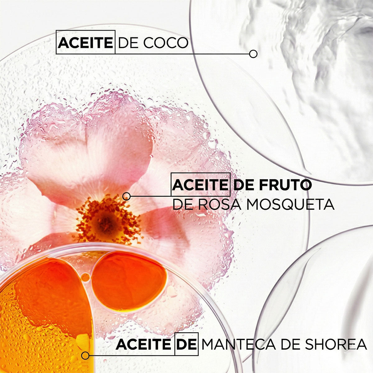 Discipline Masque Oléo-Relax Hair Mask